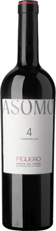 Asomo 4 Riberra del Duerro